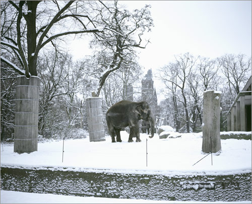 berlin zoo